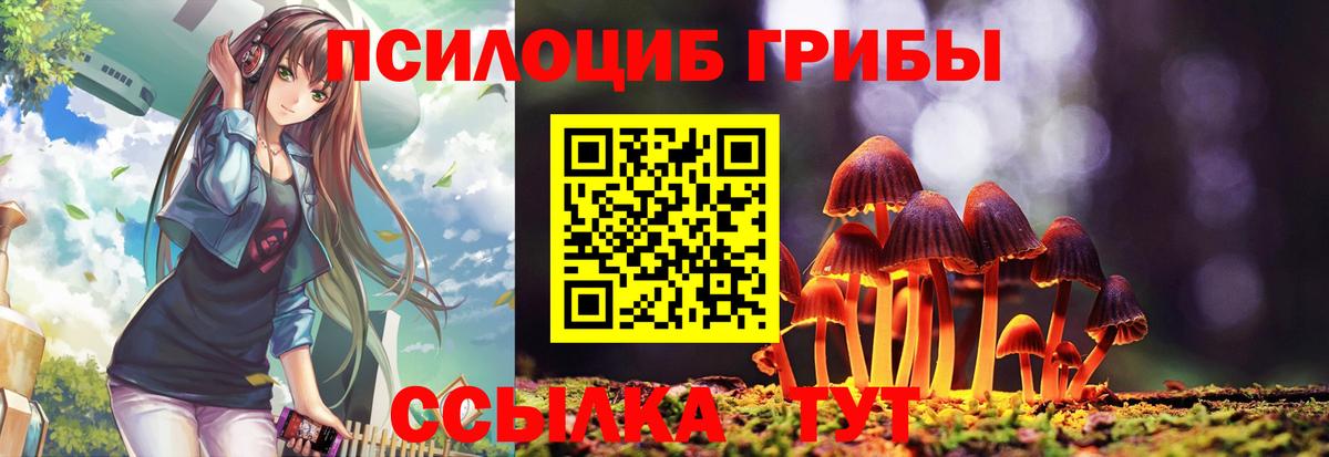 Псилоцибиновые грибы GOLDEN TEACHER Солнечногорск