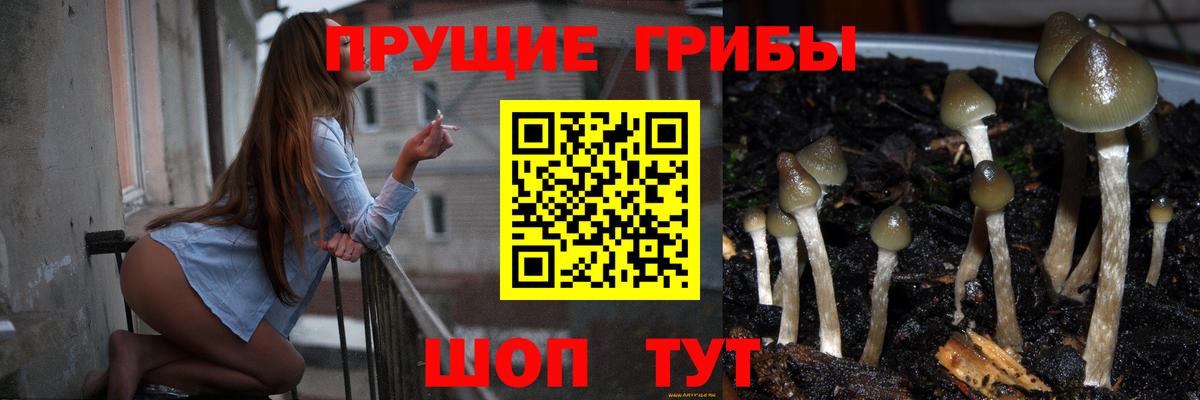 Галлюциногенные грибы MAGIC MUSHROOMS  закладки  Солнечногорск  Вход с VPN 